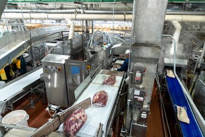 Food Processors