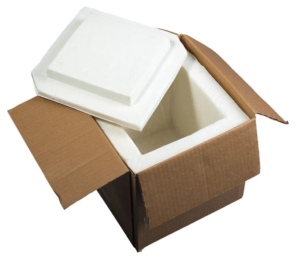 Instapak Thermal Pur in a cardboard box